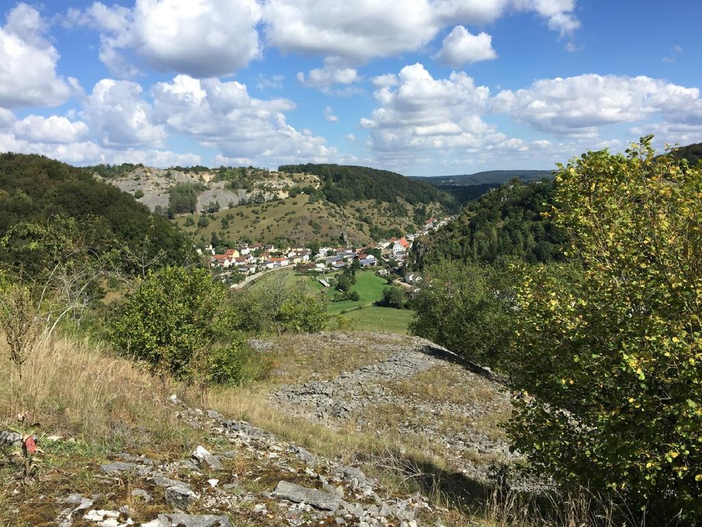 Haus "Am Muehlheimer Berg" Mornsheim Экстерьер фото